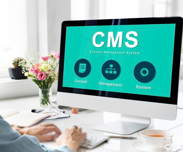 Different Types Of CMS – In Detail